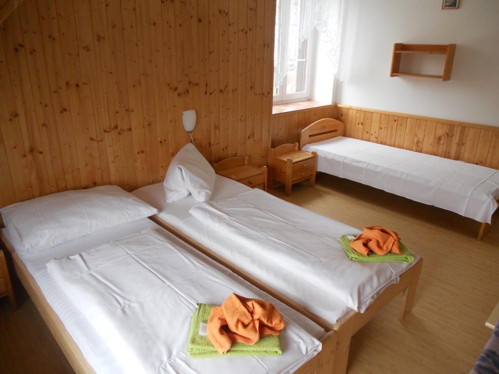 Penzion Kamzik Ceska Kamenice Exterior photo