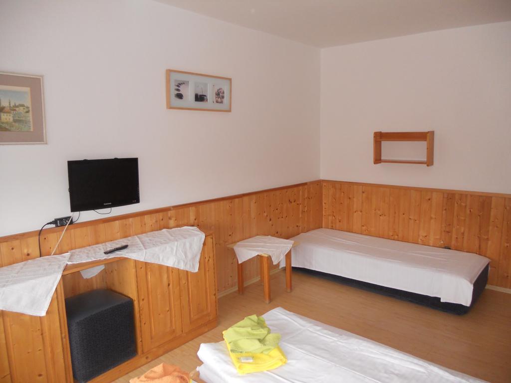 Penzion Kamzik Ceska Kamenice Exterior photo