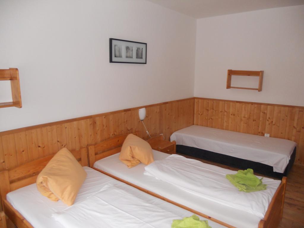 Penzion Kamzik Ceska Kamenice Exterior photo